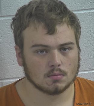 Austin Tyler Brown Mugshot