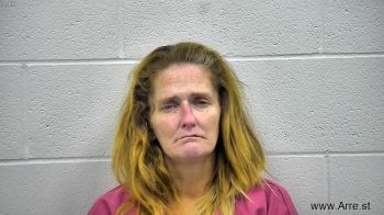 Barbara Ann Johnson Mugshot