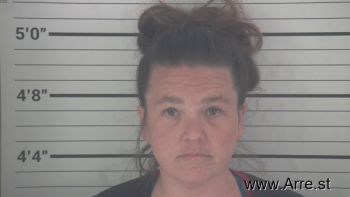 Billie Lynn Hollingsworth Mugshot