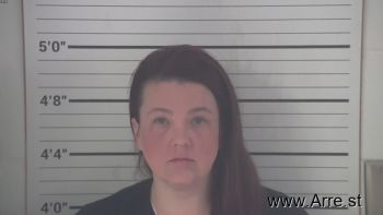 Billie Lynn Hollingsworth Mugshot