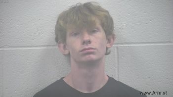 Blake Logan Springer Mugshot