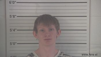 Blake Logan Springer Mugshot