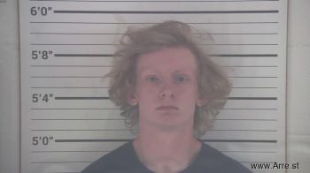 Blake Logan Springer Mugshot