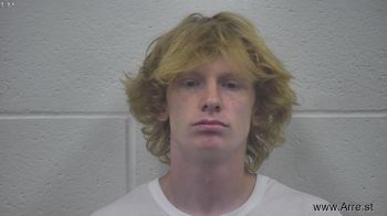 Blake Logan Springer Mugshot