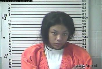 Bobbi Lanaye Jordan Mugshot