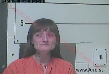 Bobbi Jo Wolfe Mugshot