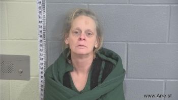 Bobbie Jean Flener Mugshot