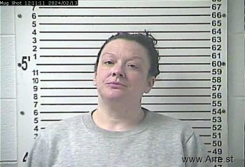 Bobbie Leigh Stevens Mugshot