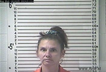 Bobbie Jo Thornton Mugshot