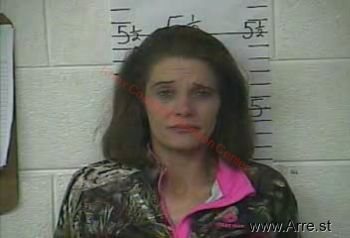 Brandi R Davis Mugshot