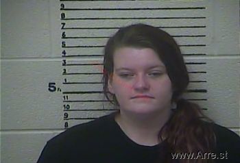 Brandi  Howerton Mugshot