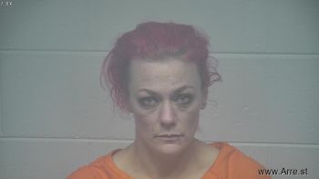 Brandi E Lundy Mugshot