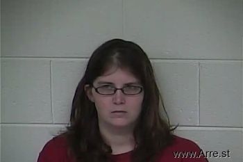 Brandi L Mcdonald Mugshot