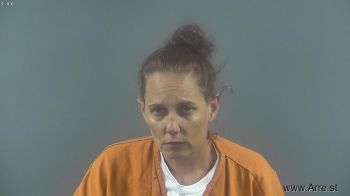 Brandi Renee Mcdonald Mugshot