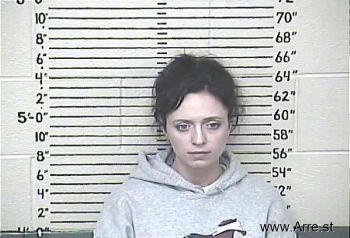 Brandi Rebecca Meek Mugshot