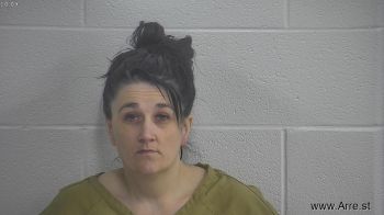 Brandi Jo Miller Mugshot