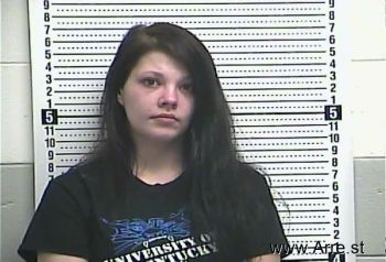 Brandie N Roberts Mugshot