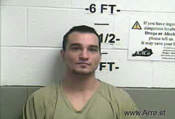 Brandon  Allen Mugshot