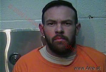 Brandon  Castle Mugshot