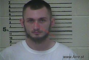 Brandon Michael Davidson Mugshot