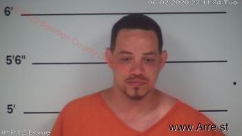 Brandon  Falconbury Mugshot