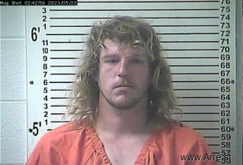 Brandon Lee Ferguson Mugshot