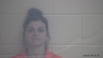 Brandon Nichole Harmon Mugshot