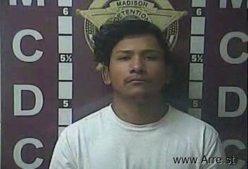 Brandon  Hernandez Mugshot