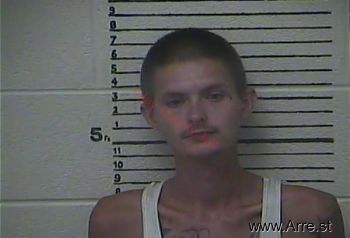 Brandon  Holland Mugshot