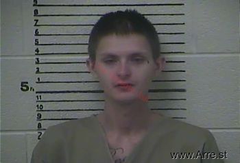 Brandon  Holland Mugshot