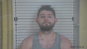 Brandon  Lawson Mugshot