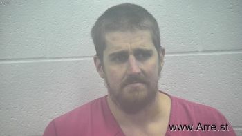 Brandon Michael Lowe Mugshot