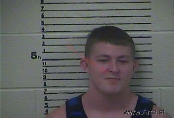 Brandon  Partin Mugshot