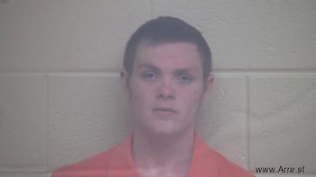 Brandon Dayle Watson Mugshot