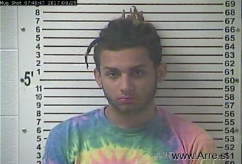 Brandon Alexander Willis Mugshot