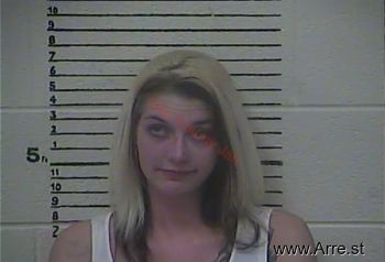 Brandy Elizabeth Baldwin Mugshot