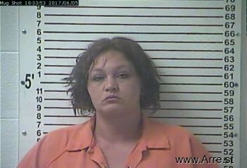 Brandy Gail Burnett Mugshot