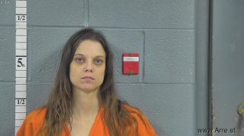 Brandy  Lee Mugshot