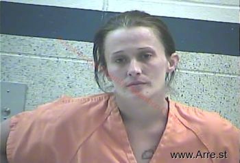 Brandy Lynn Lee Mugshot