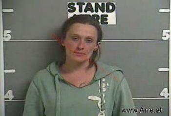 Brandy  Lee Mugshot