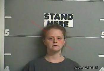 Brandy M Phelps Mugshot