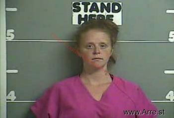 Brandy M Phelps Mugshot