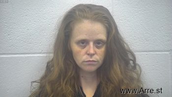 Brandy Michelle Phelps Mugshot