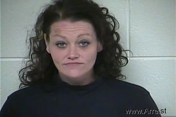 Brandy J Sanders Mugshot