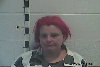 Brandy Lynn Sanders Mugshot