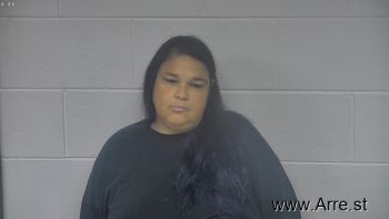 Brandy  Sullivan Mugshot