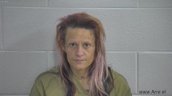 Brandy Lee Ward Mugshot