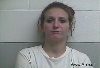 Brandy M Williams Mugshot