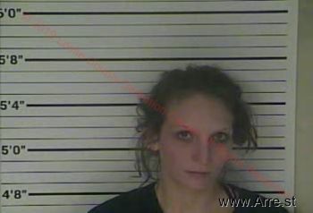 Brandy Marie Williams Mugshot