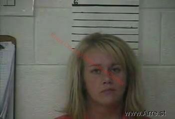 Brandy J Wilson Mugshot